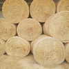 Barley Hay Rounds