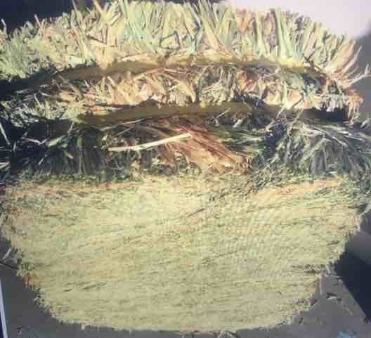 Horse Quality Oaten Hay in Compressed Small Bales