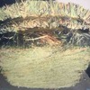 Horse Quality Oaten Hay in Compressed Small Bales