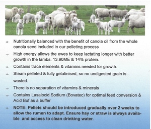 PMM's Save $5/MT on EWE LAMBING Pellets