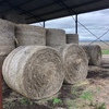 38 x Wheaten Hay 5x4 Rolls