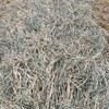 'New Season' Wheaten Hay 8x4x3 Bales