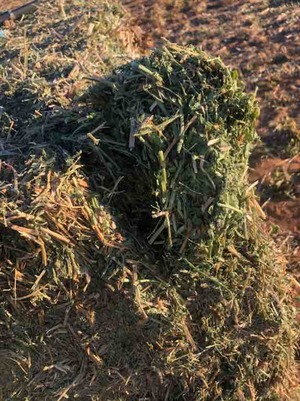 Vetch Hay 8x4x3 Bales 