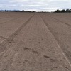 Duncan renovator till seeder