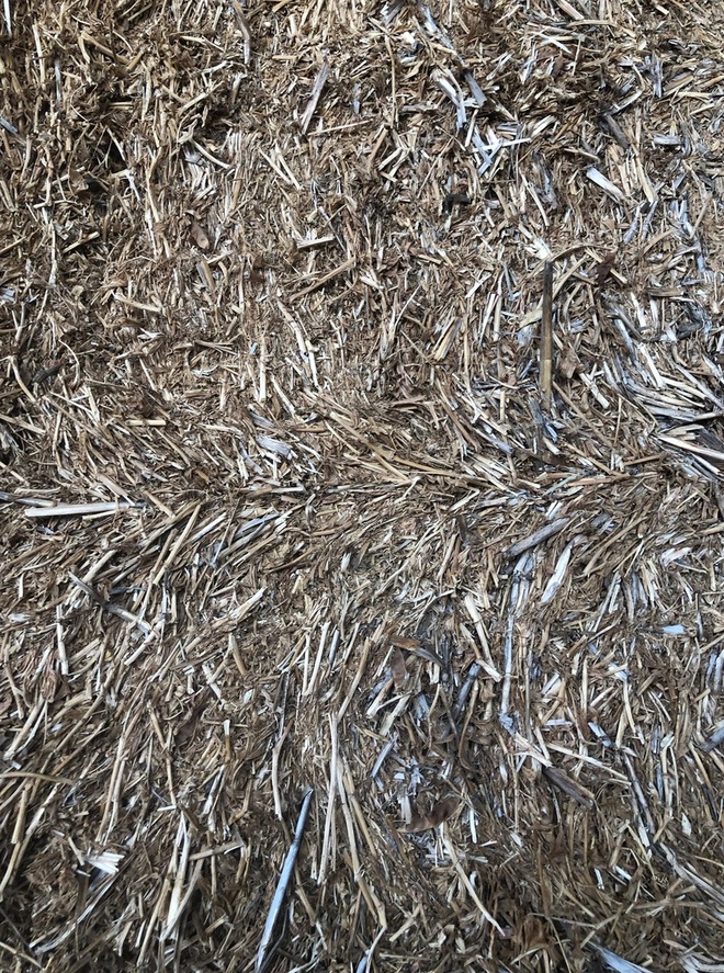 Vetch Hay 8x4x3 680kg bales shedded.