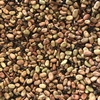 Faba Beans etc ****Price Reduction****