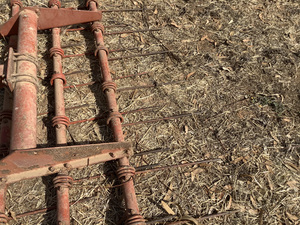 Murray finger harrows