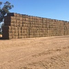 100 m/t of A1 Vetch Hay 8x4x3 Bales
