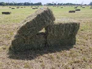 Lucerne Small Square Bales