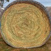 VETCH HAY – Rolls – A1 Quality