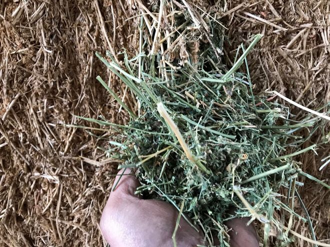 Lucerne Hay 8x3x3 Shedded