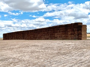 Vetch Hay 620kg 8x4x3 Bales 