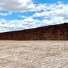 Vetch Hay 620kg 8x4x3 Bales 