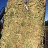 canola hay shedded 8x4x3