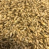 Cereal Rye For Sale