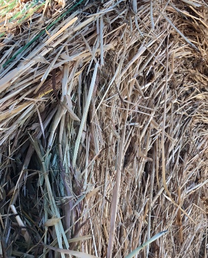 64 x Oaten Rolls 5 x 4