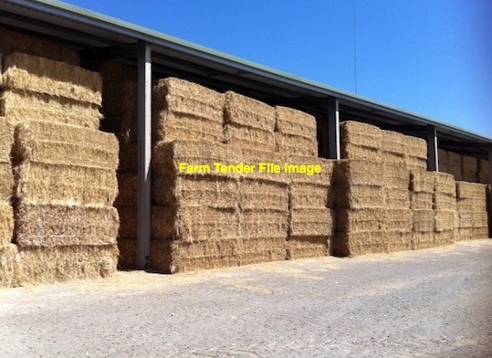 Barley Hay 8x4x3 Bales x 4 B Double Loads + Freight