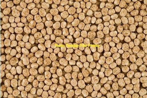 20mt Lupins