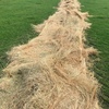 Pasture Hay 5x4 Rolls 