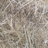 Header Trail Barley Straw For Sale