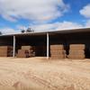Vetch Hay 600-685kg 8x4x3 Bales