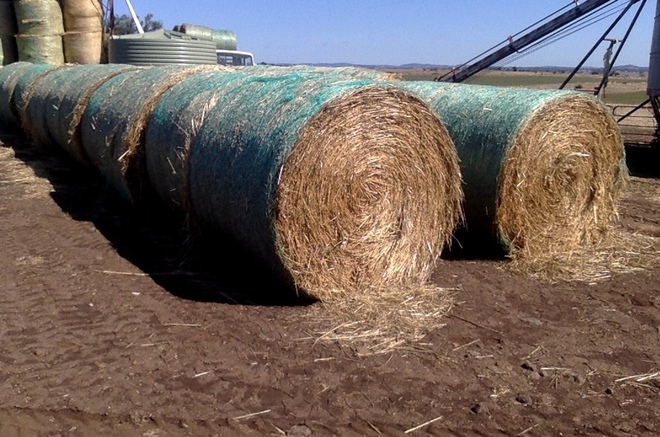 40 x Oaten Hay 4.6x4ft Rolls 