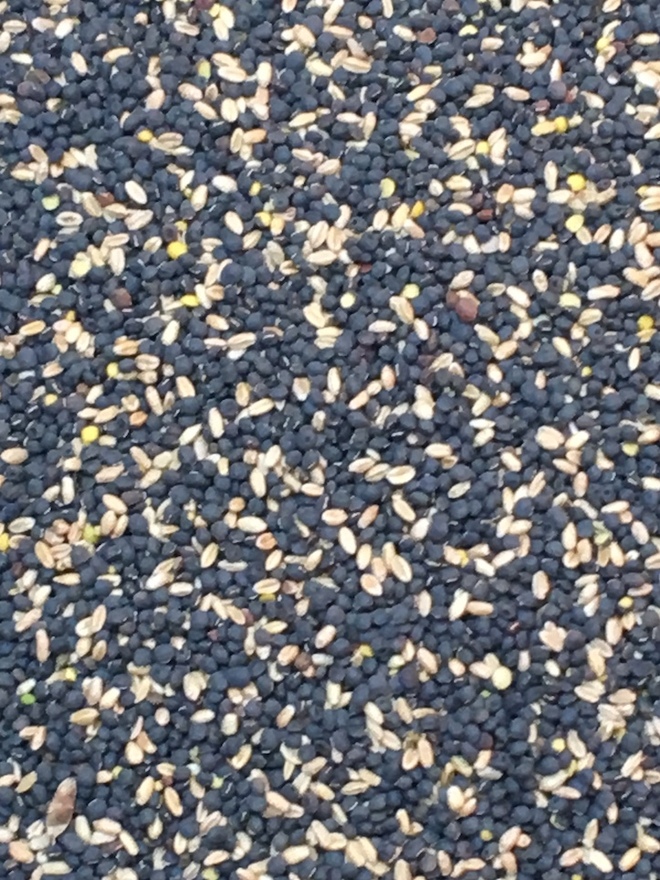 20mt Vetch/Wheat Hay Mix