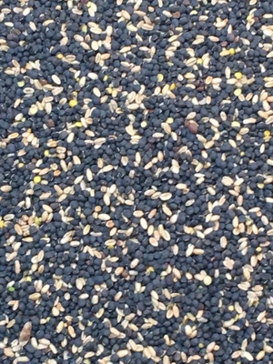 20mt Vetch/Wheat Hay Mix