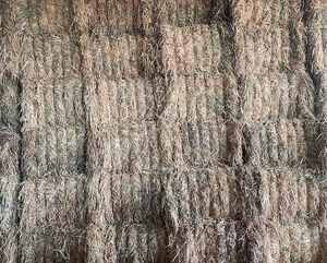 49 x Oaten Hay 8x4x3 Bales (New Season)