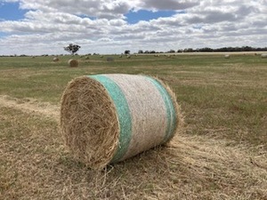 Hay - Barley (new season).  4 x 4 Round Bales