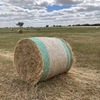 Hay - Barley (new season).  4 x 4 Round Bales