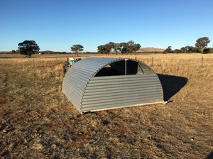 Free Range Pig Shelters / Animal Shelters