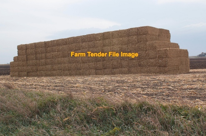 Expressions of Interest in Corn Stubble