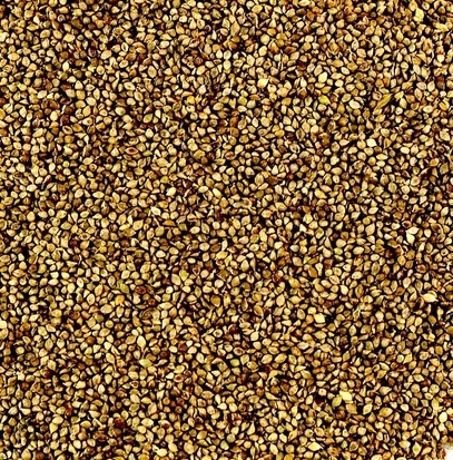 New Season Area Contracts Wanted Millet