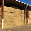 Wheaten Straw 445kg approx. 8x4x3 Bales- Irrigated 