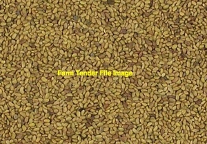 Lucerne seed VNS