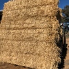 Barley straw