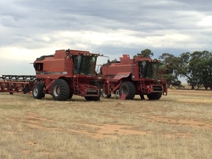 WANTED Case IH 1010 30ft