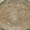 GRASSY LUCERNE HAY BALES FOR SALE 