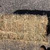 600 x Ryegrass Hay Small Square Bales