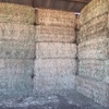 250mt Wheaten Hay 650kg 8x4x3 Baled 28/10 
