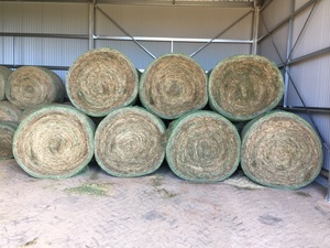 Organic Lucerne Hay