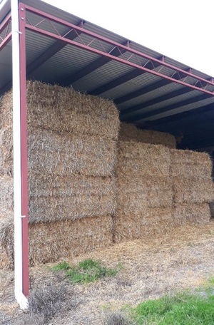 *PRICE REDUCTION* 24 Bales 8x4x3 of Oaten Straw Shedded 440 Kg's