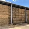8x4x3 Bales Canola Hay For Sale