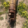 50ft x 8 inch mobilco grain auger 