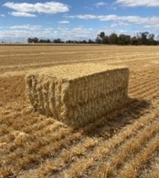 Barley Straw 8x4x3 (approx 500kg) 1000 x Bales