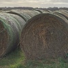 220 x Oaten Hay 5x4 Bales