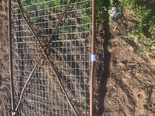 Under Auction - McKay Sunshine Gate 