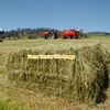 Rye/Clover 8x4x3 Bales