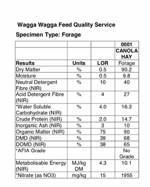 Canola Hay 8x4x3 Bales New Season + Freight